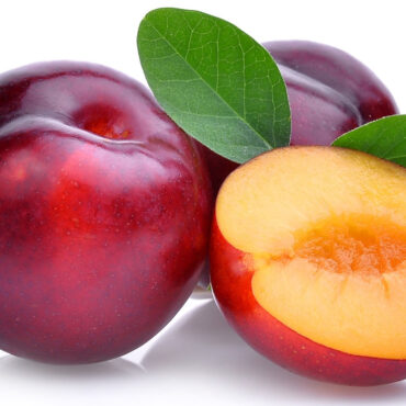 PLUM KRAZY UNISEX PERFUME BODY OIL