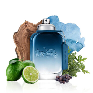 COACH BLUE MEN PERFUME BODY OIL TYPE