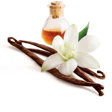 VANILLA BEAN TYPE PERFUME BODY OIL