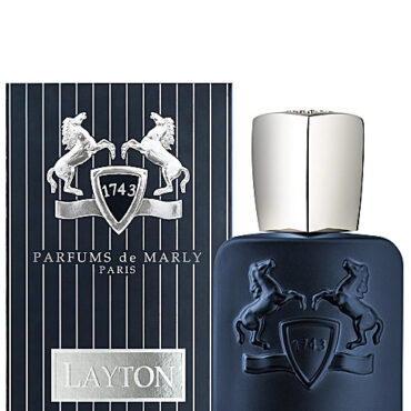 LAYTON type perfume oil