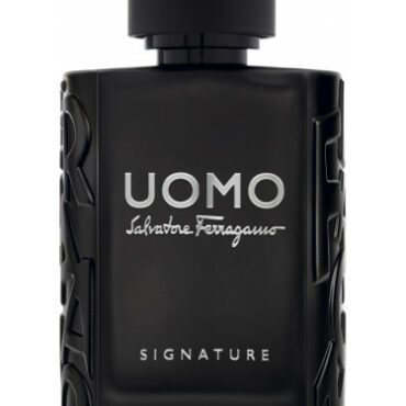 UOMO SALVATORE FERRAGAMO SIGNATURE type