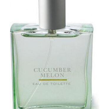 CUCUMBER MELON type