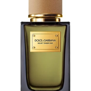 Velvet Tender Oud by Dolce&Gabbana