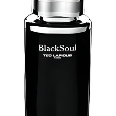 Black Soul by Ted Lapidus