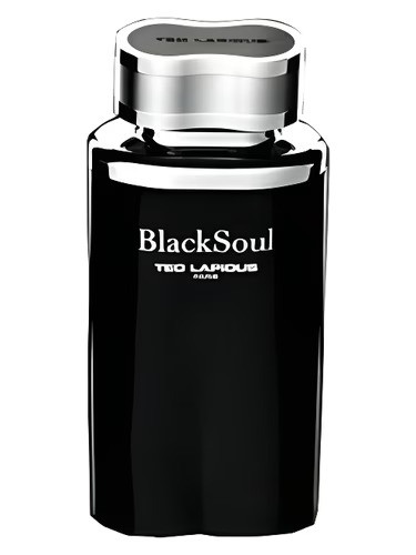 Black Soul by Ted Lapidus is a Woody Spicy fragrance for men